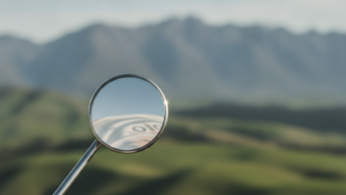 A close-up, photorealistic image of a polished, modern dental mirror in the foreground. The mirror reflects a subtle, abstract pattern of light, hinting at financial costs. In the blurred background, a scenic New Zealand landscape featuring rolling green hills and distant mountains is visible under a clear sky.