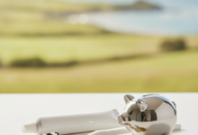 A close-up of a clean toothbrush and toothpaste on a white surface, accompanied by a small metallic piggy bank and a few New Zealand dollar coins. The background is a softly blurred, sunlit landscape featuring green rolling hills and a distant ocean bay, typical of New Zealand.