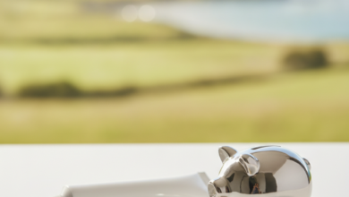 A close-up of a clean toothbrush and toothpaste on a white surface, accompanied by a small metallic piggy bank and a few New Zealand dollar coins. The background is a softly blurred, sunlit landscape featuring green rolling hills and a distant ocean bay, typical of New Zealand.